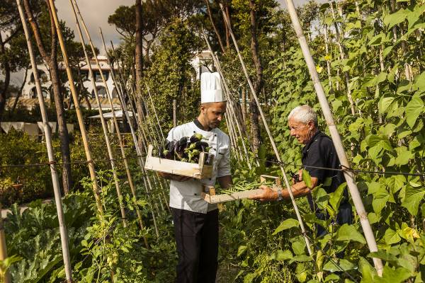 Koch in weißer Uniform und Kochmütze hält Kiste mit Auberginen in einem Gemüsegarten, spricht mit älterem Mann